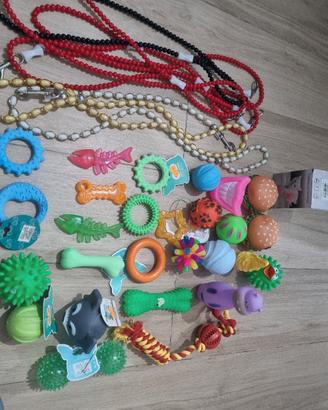 accessori animali
