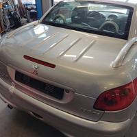 Portellone nudo PEUGEOT 206 del 2005