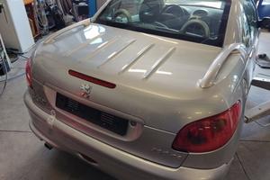 Portellone nudo PEUGEOT 206 del 2005