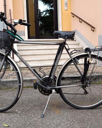 city bike da uomo, con cambio