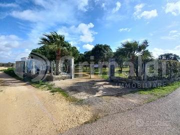 Terreno Agricolo Ugento [40firenzeVCG] (Ugento Pae