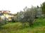 Immagine 18