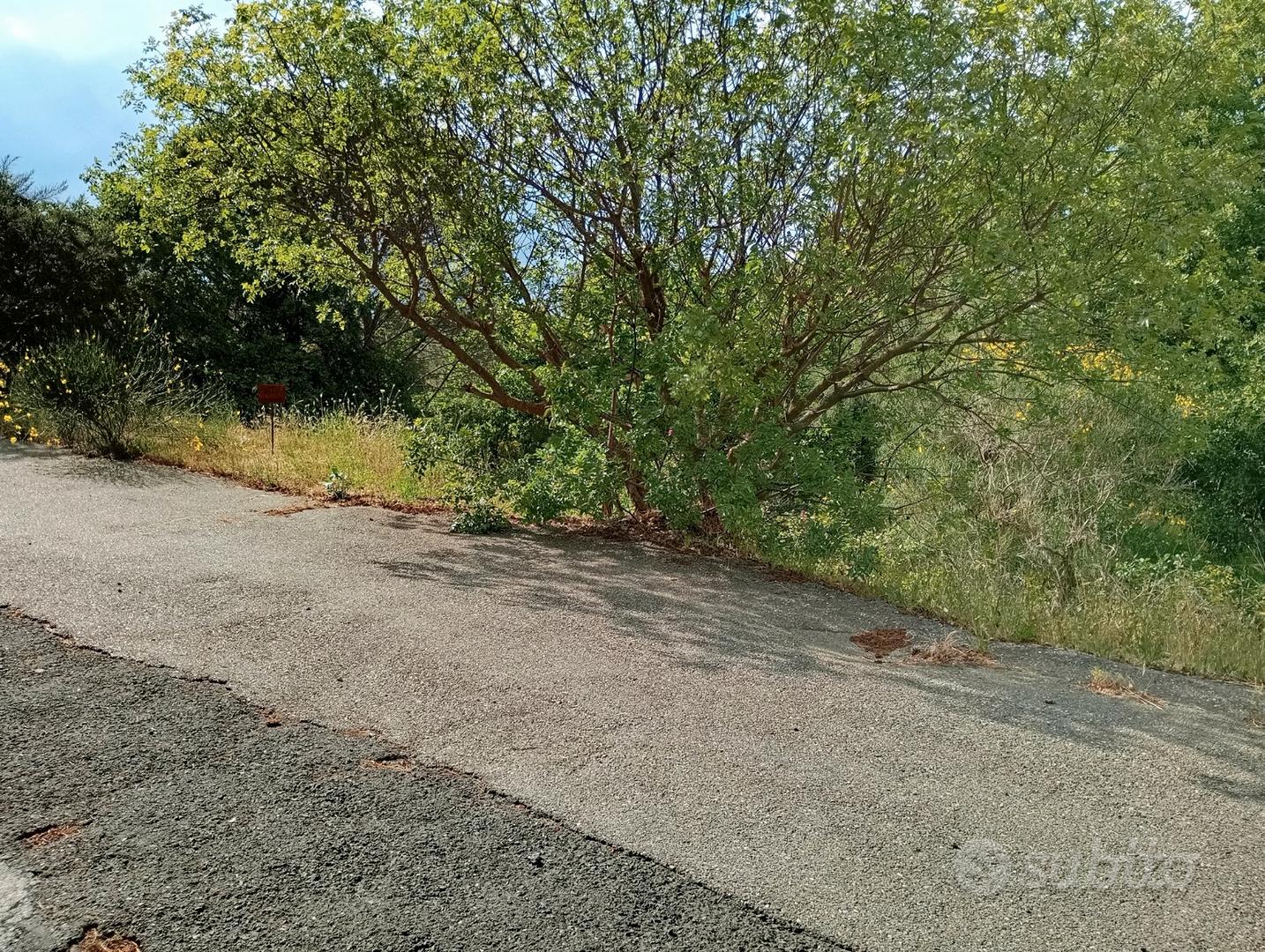 Terreno non edificabile - Vista 4