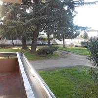 Bilocale/trilocale con box immerso nella quiete