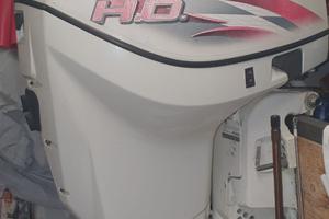 Fuoribordo E-TEC 115CV HO