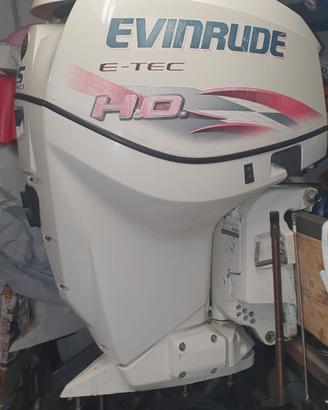 Fuoribordo E-TEC 115CV HO
