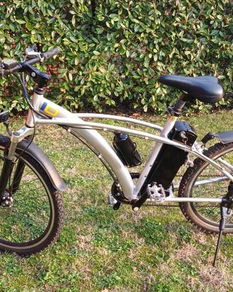 bicicletta elettrica
