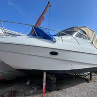 Sessa Oyster 22