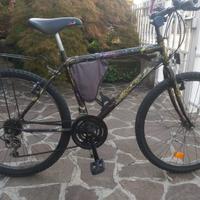 Bici Uomo