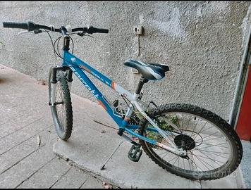 Bicicletta mountain bike 24