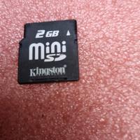 4336-Mini SD 2Gb