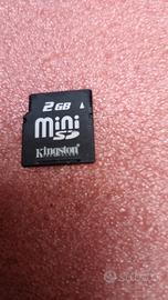 4336-Mini SD 2Gb