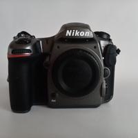 Nikon D 500