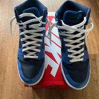 Scarpe nike dunk