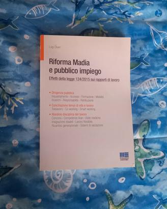 Riforma Madia e Pubblico Impiego