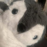 peluche a forma di pinguino cute 