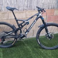 mtb whistle navajo carbon