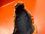 Immagine 12