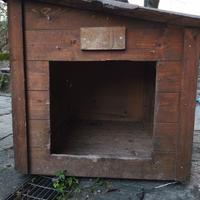 Cuccia in legno per cani