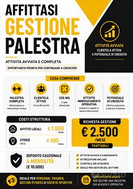GESTIONE palestra/fitness club a Mantova