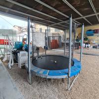 Trampolino tappeto elastico 240 cm Domyos Essentia