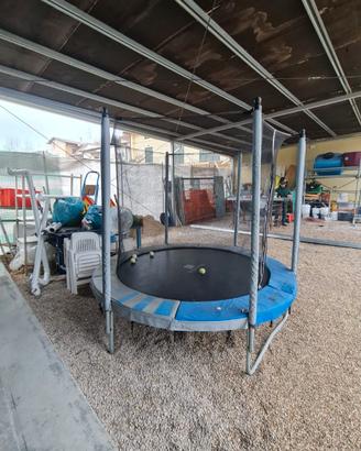 Trampolino tappeto elastico 240 cm Domyos Essentia