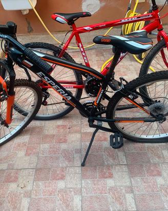 MTB Esperia 26 nuove, cambio 21 velocità