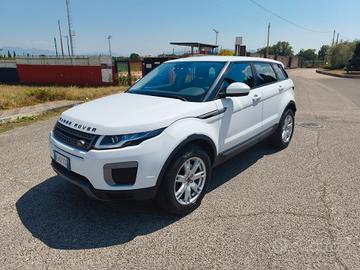 Land Rover Range Evoque 2.0 TD4 150 CV 5p. permute