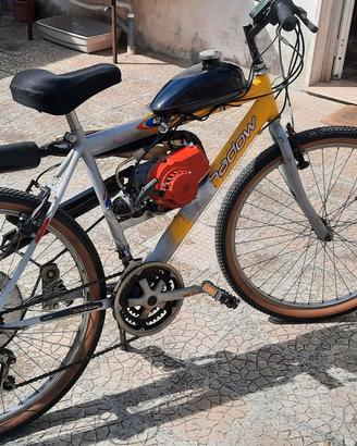 Mountanbike  con motore a scoppio