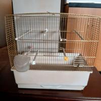 Gabbiette per volatili