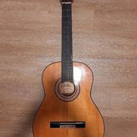 Chitarra classica Florencia CG 100