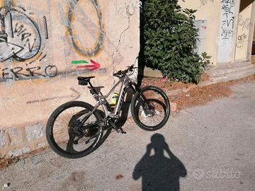 bici ebike