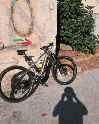 bici ebike