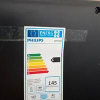 Televisore funzionante – manca telecomando e cavo