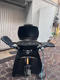 Barbecue a gas Weber Q 3200