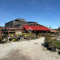 CAPANNONE A BELLARIA-IGEA MARINA