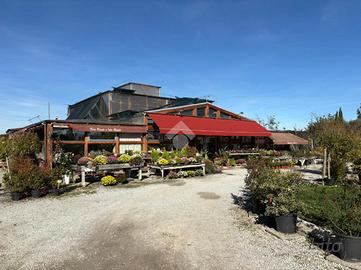 CAPANNONE A BELLARIA-IGEA MARINA