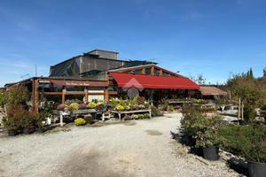 CAPANNONE A BELLARIA-IGEA MARINA