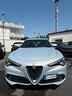 alfa-romeo-stelvio-2-2-turbodiesel-190-cv-at8-busi