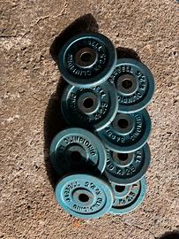 Pesi per HomeGym