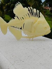 scheletro di pesce
