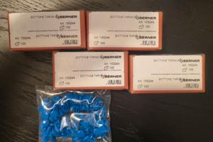 Bottoni targa blu Berner