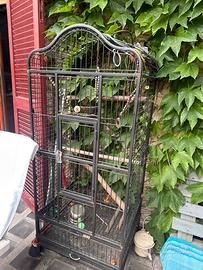 Gabbia pappagallo