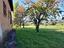 Immagine 28
