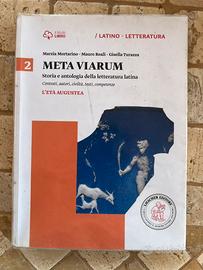 Meta viarum 2