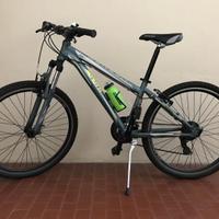 Mountain Bike 26" Horvett col. grigio verde tg. 36