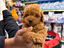 Immagine 1