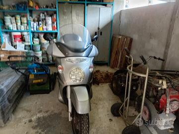 Scarabeo 500