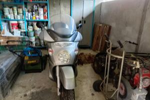 Scarabeo 500