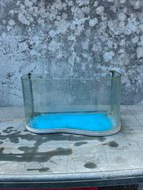 Vasca / Acquario per pesci e tartarughine